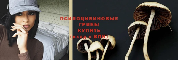 PSILOCYBIN Алексин