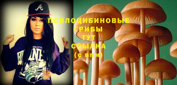 PSILOCYBIN Алексин