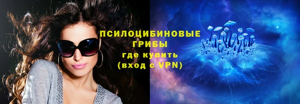 PSILOCYBIN Алексин