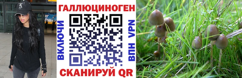 Галлюциногенные грибы Cubensis  Кола 